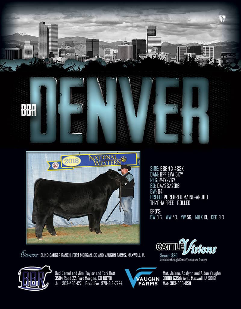 SIRES | Blind Badger Ranch